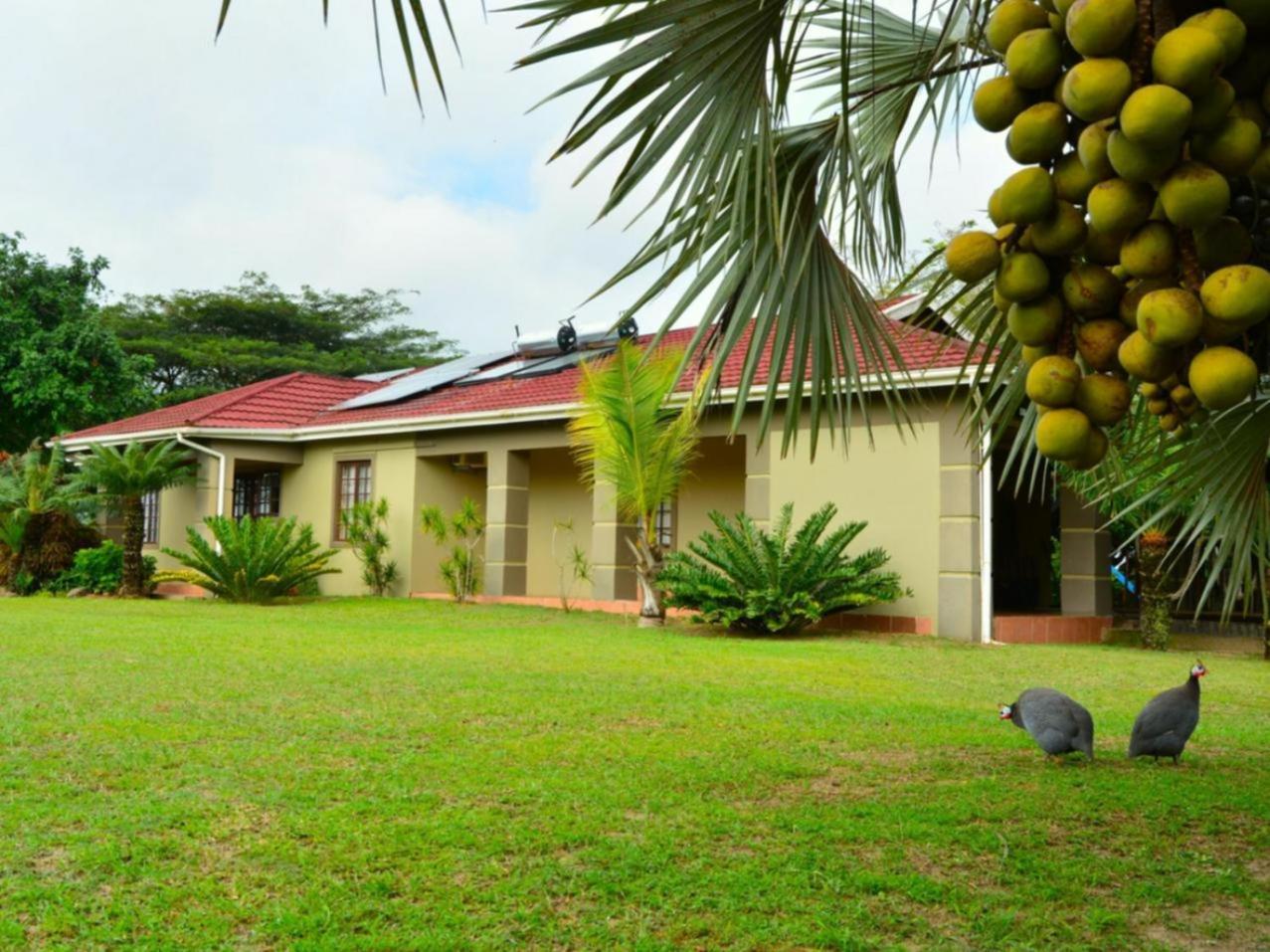 Villa Dumehlezi Self Catering Sodwana Bay Camera foto